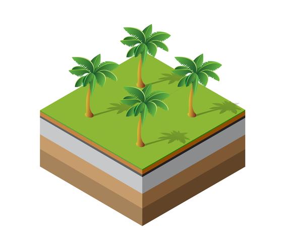 Palm trees natural forest vector