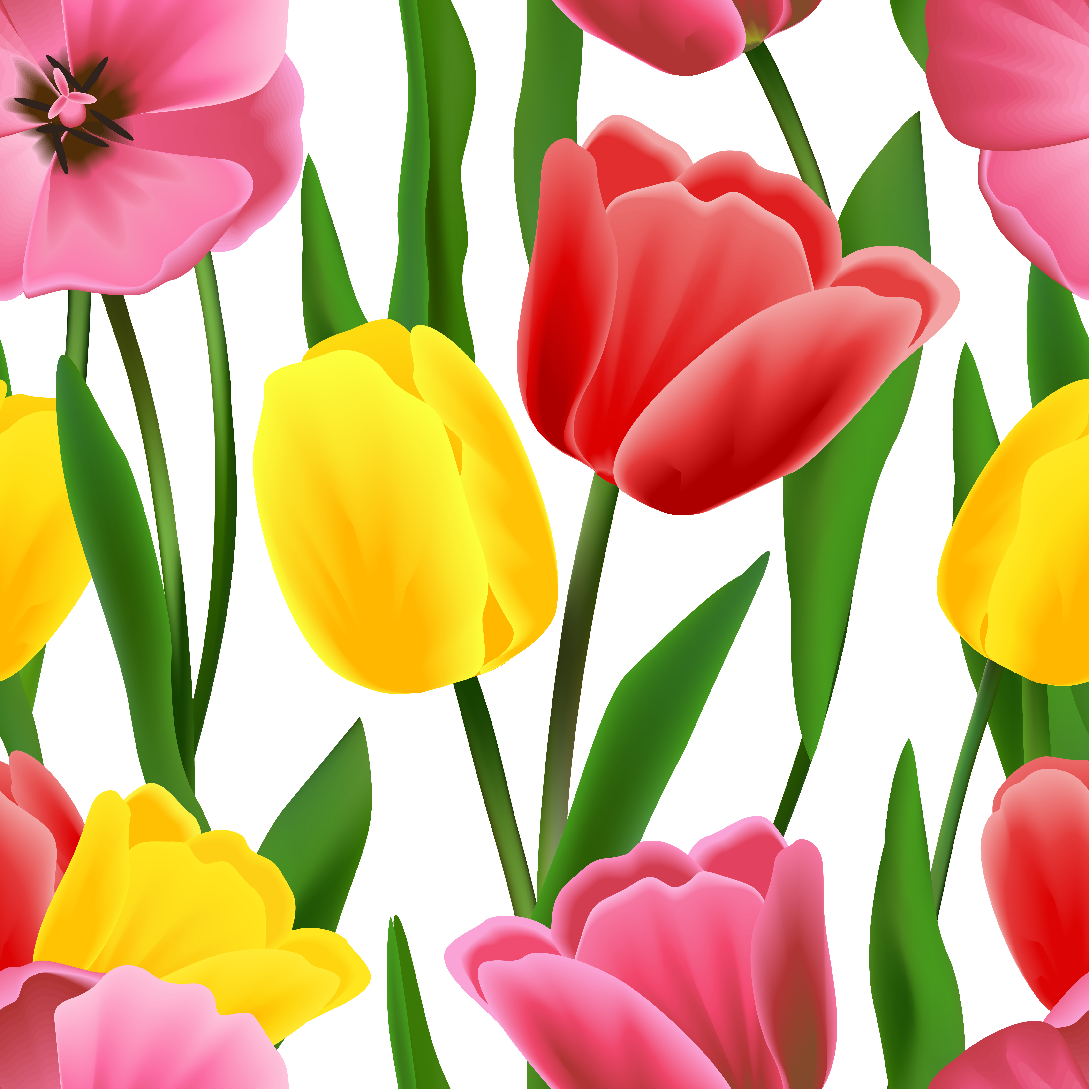 Tulip Template Free