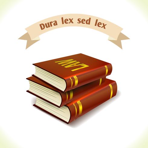 Law icon legal books vector