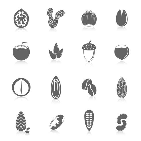 Set of nuts icons vector