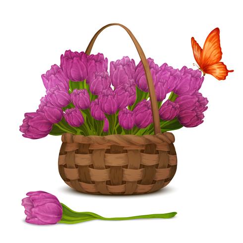 Tulip flowers in basket vector