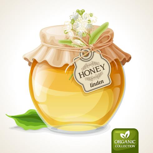 Linden honey jar vector