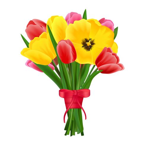 Tulip flower bouquet 453198 Vector Art at Vecteezy