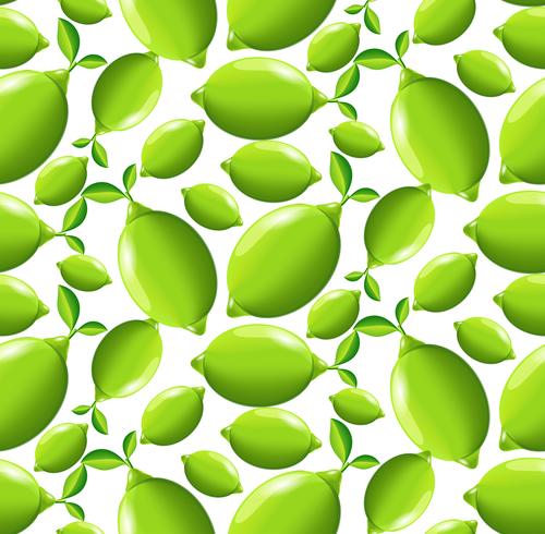 Lime seamless pattern vector