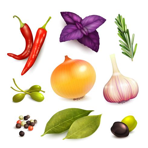 Herbs and spices set vector