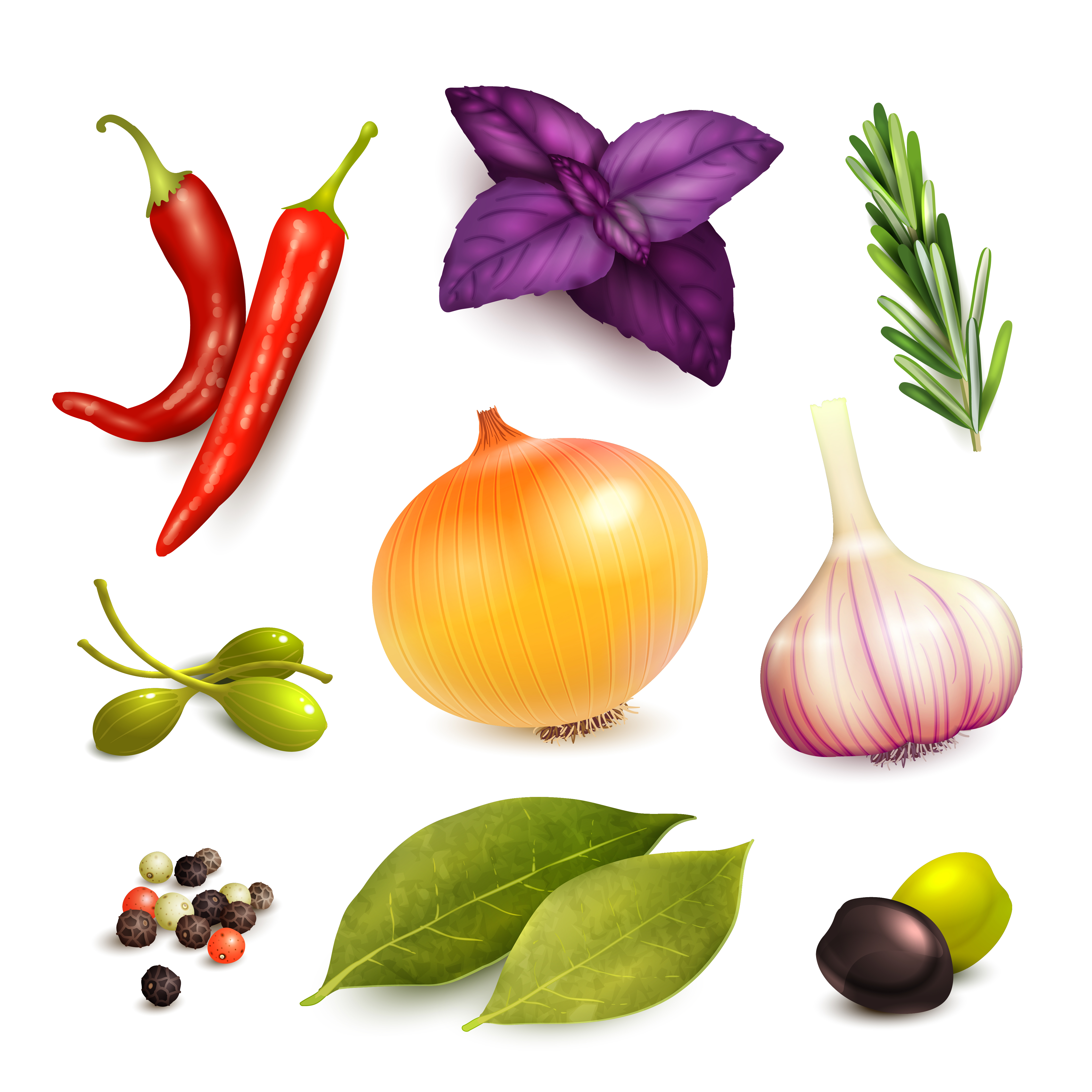 Herbs and spices set 453535 Vector Art at Vecteezy