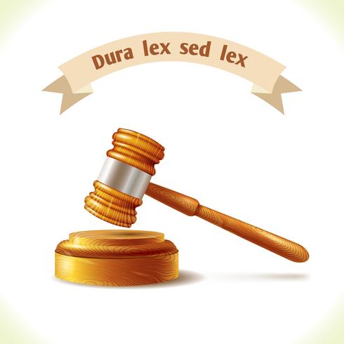 Law icon judge gavel vector