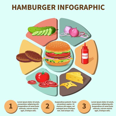 Infografía de sándwich de hamburguesa vector