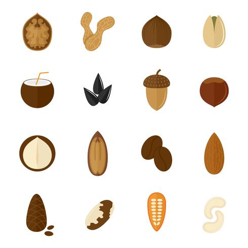 Set of nuts icons vector