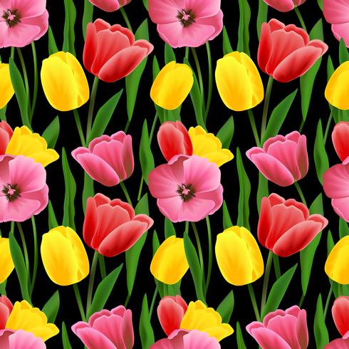 Fondo transparente de tulipán vector