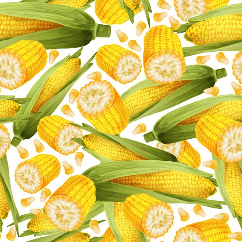 Corn seamless pattern vector