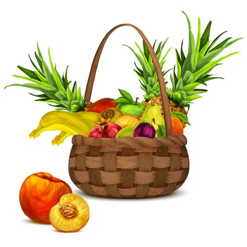 Fruits in basket vector