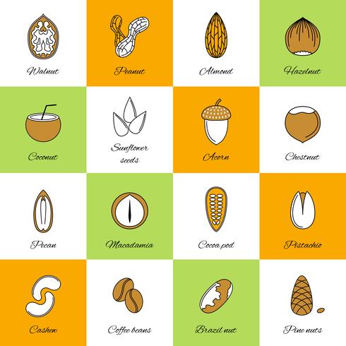 Set of nuts icons vector