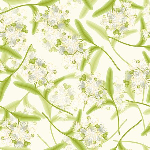 Linden seamless background vector