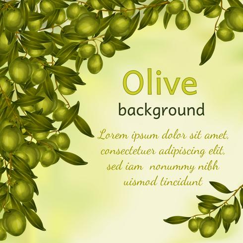 Olive oil background vector