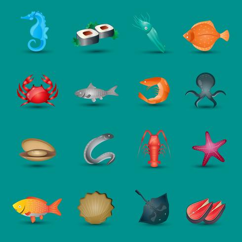 Seafood icons set vector