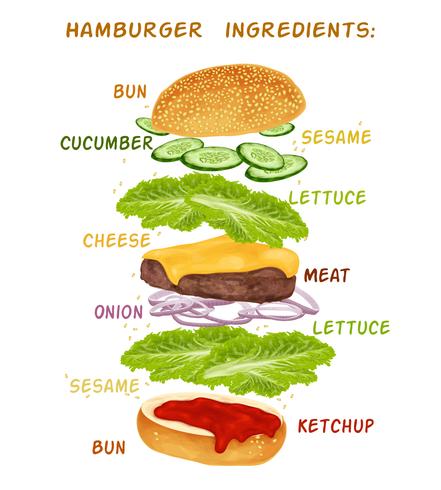 Hamburger ingredients set vector