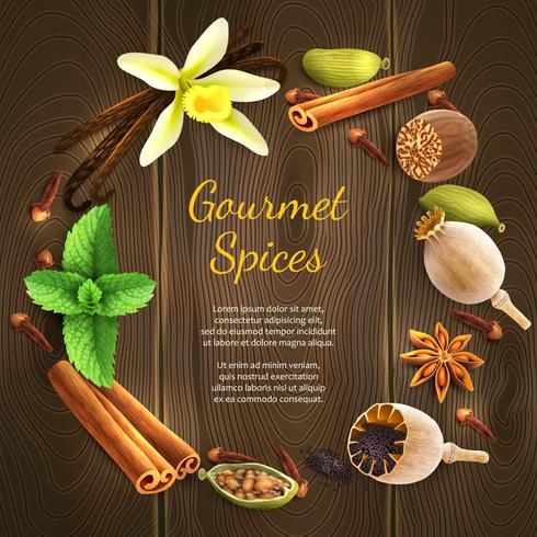 Spices on dark background vector