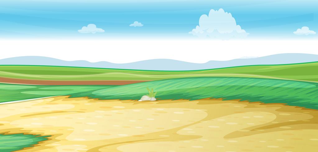 Scene with road on the field vector