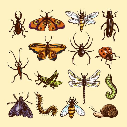 Insects sketch set vector