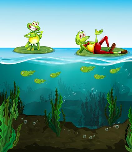 Two happy frogs and tadpoles in the pond vector