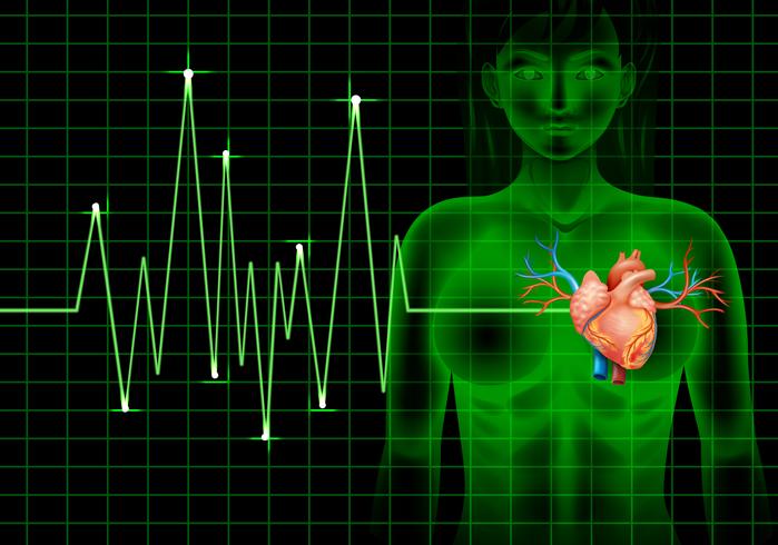 Heartbeat of human and graph vector