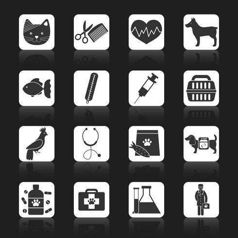 Veterinary icons set black vector