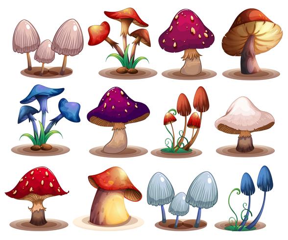 Mushroom set vector