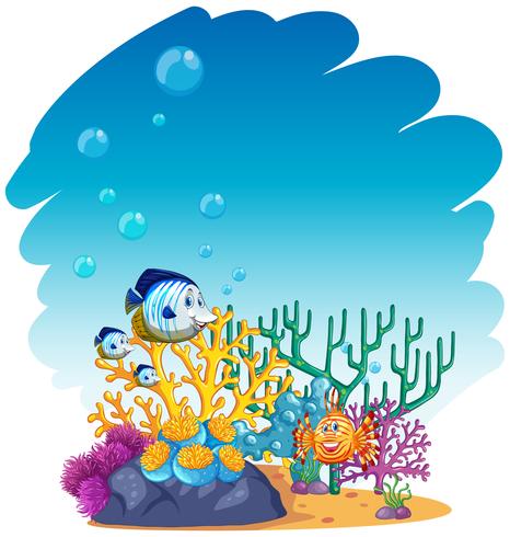 Fish swimming in the sea vector