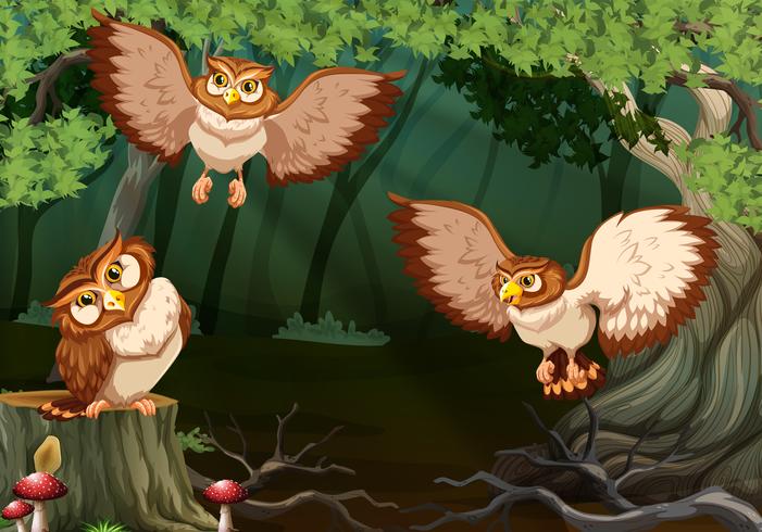 Three owls flying in forest vector