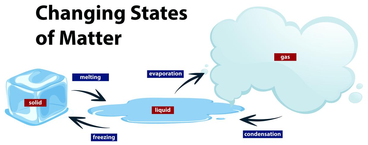 Diagram showing the changing states of matter vector