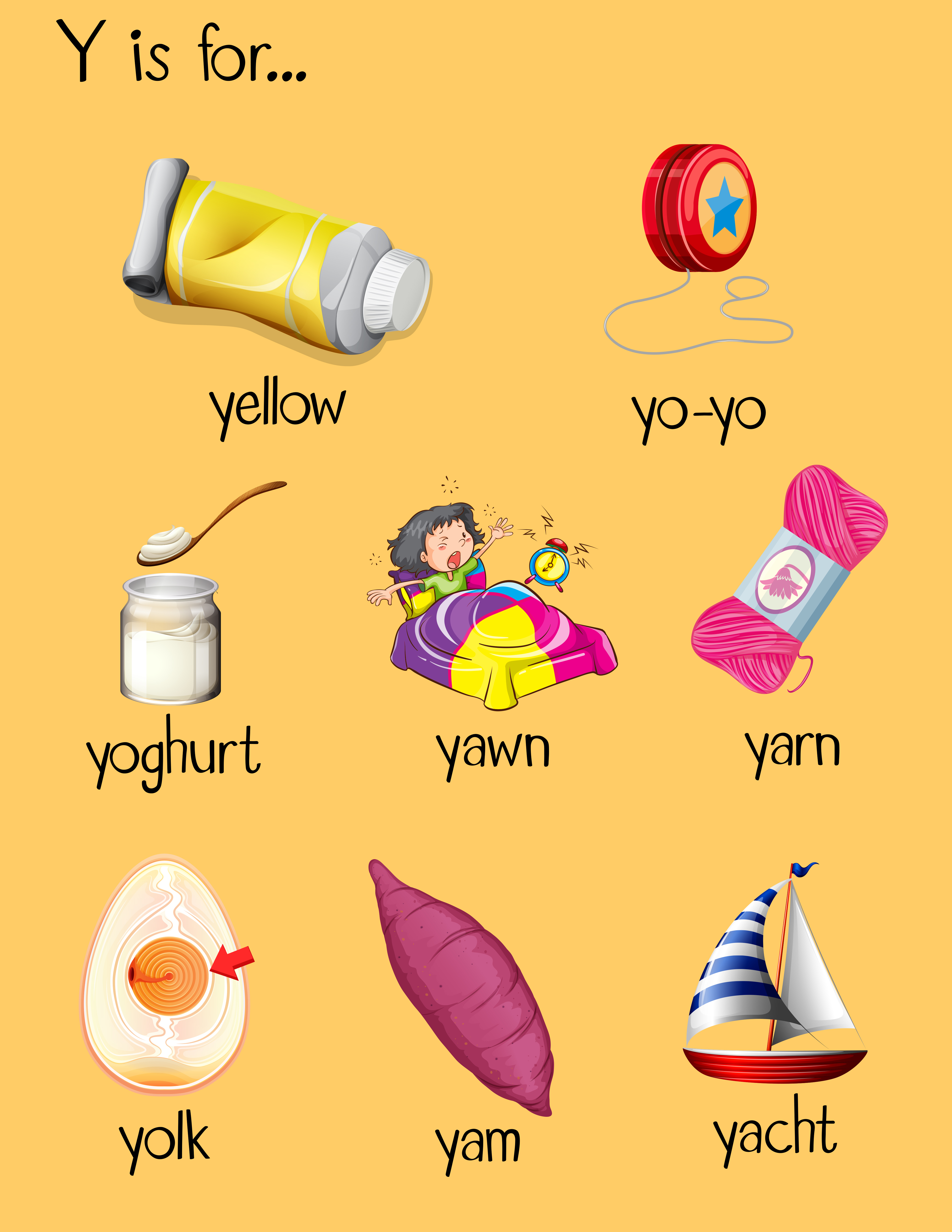 Many words begin with letter Y 455115 Vector Art at Vecteezy