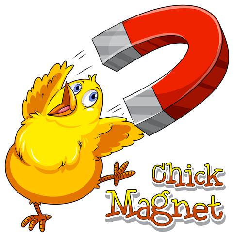 Chick magnet vector