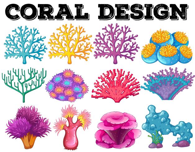 Diferentes tipos de diseño de coral. vector