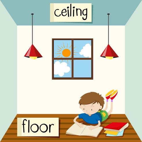 Opposite wordcard for ceiling and floor vector