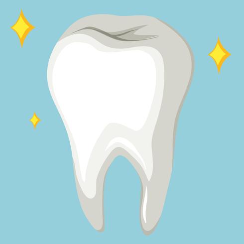 Single human tooth on blue background vector