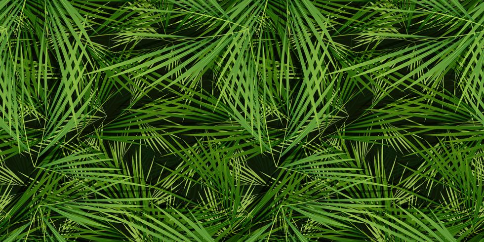 Seamless Palm Trees Leaves Background vector