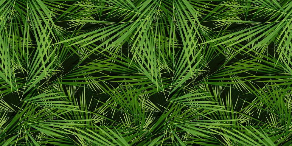 Seamless Palm Trees Leaves Background vector