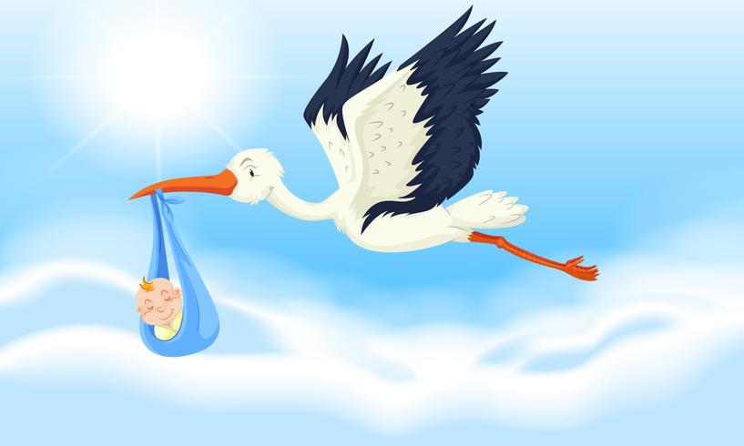 Stork baby delivering newborn boy vector