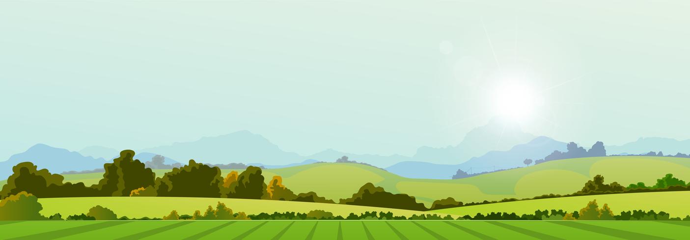 Summer Season Country Banner vector