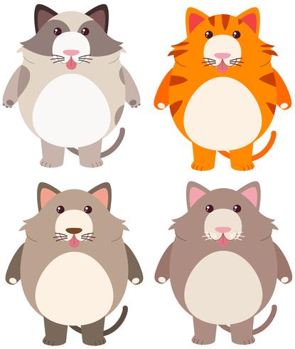 Four Fat Cats In Different Color Download Free Vectors Clipart