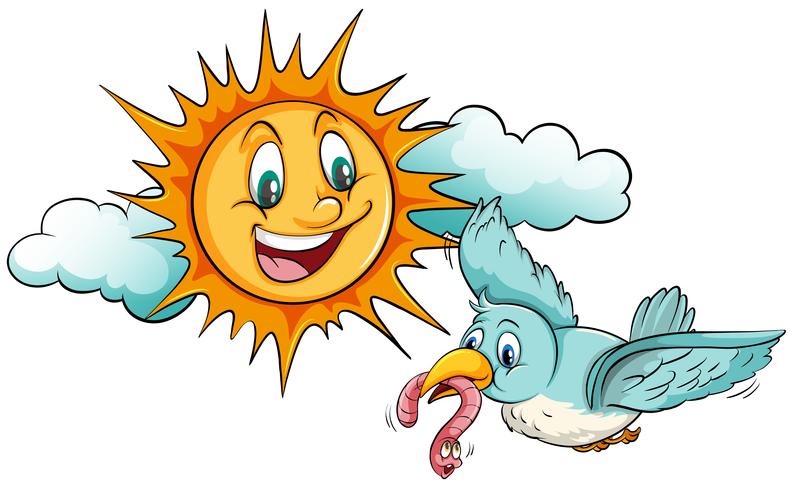 Sun and bird vector