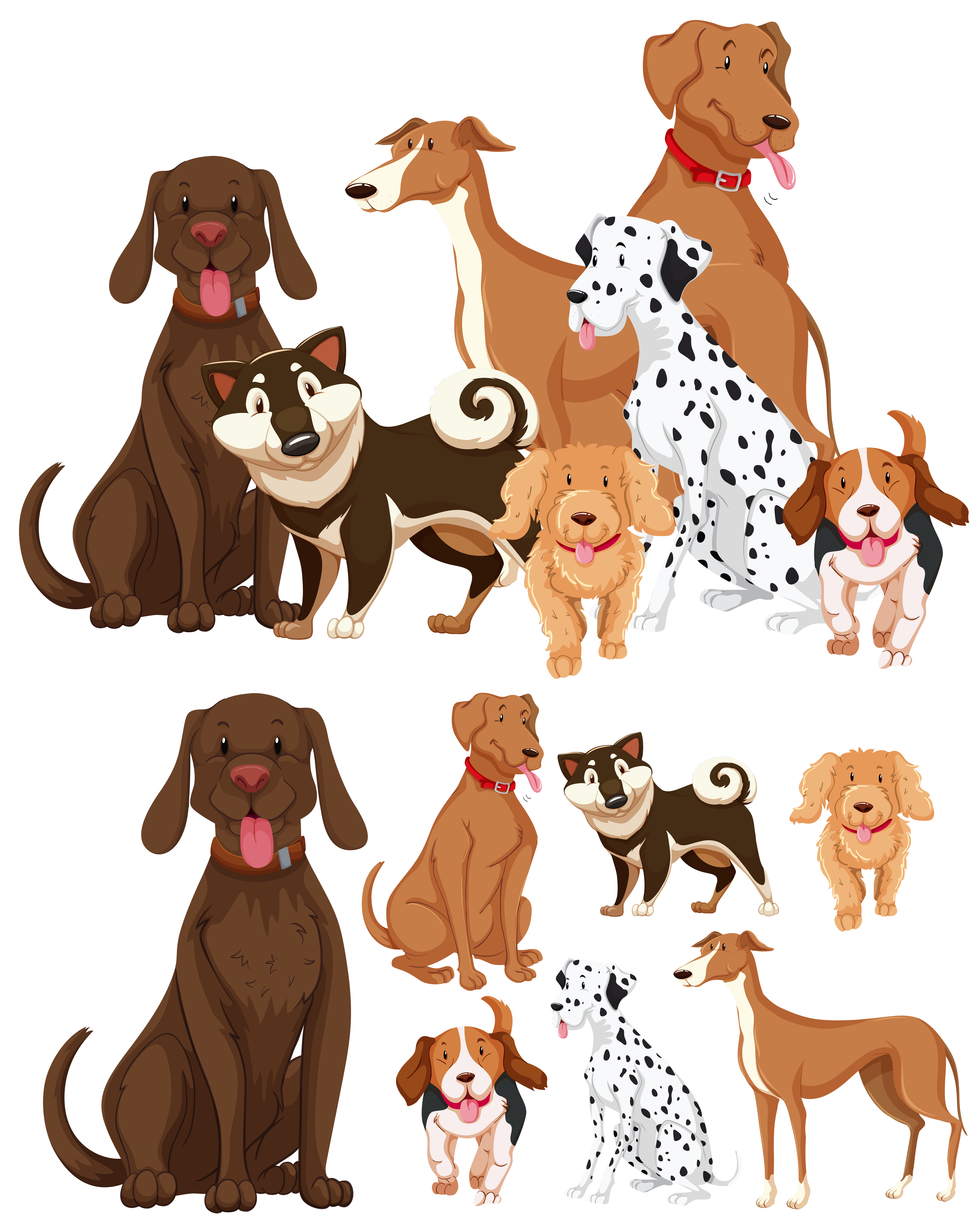 Download Many types of dogs - Download Free Vectors, Clipart ...