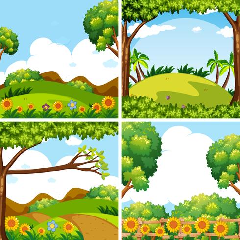 Cuatro escenas de la naturaleza con árboles y campos. vector