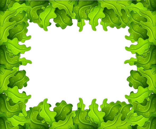 Frame vector