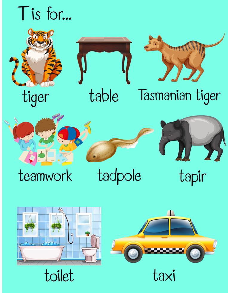 Many words begin with letter T 455748 Vector Art at Vecteezy