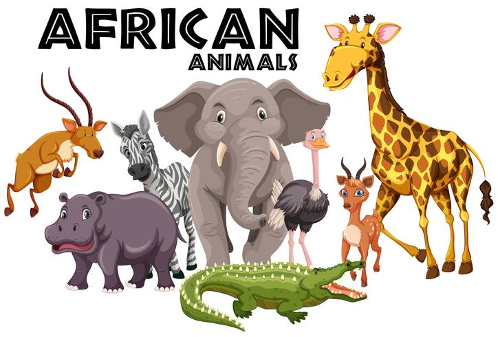 Animales africanos sobre fondo blanco vector