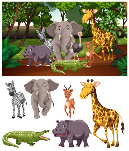 Wild animals in the forest vector