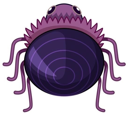 Purple spider on white background vector