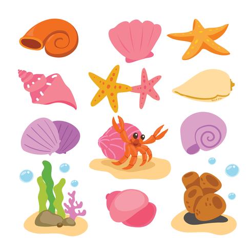 shell vector collection design